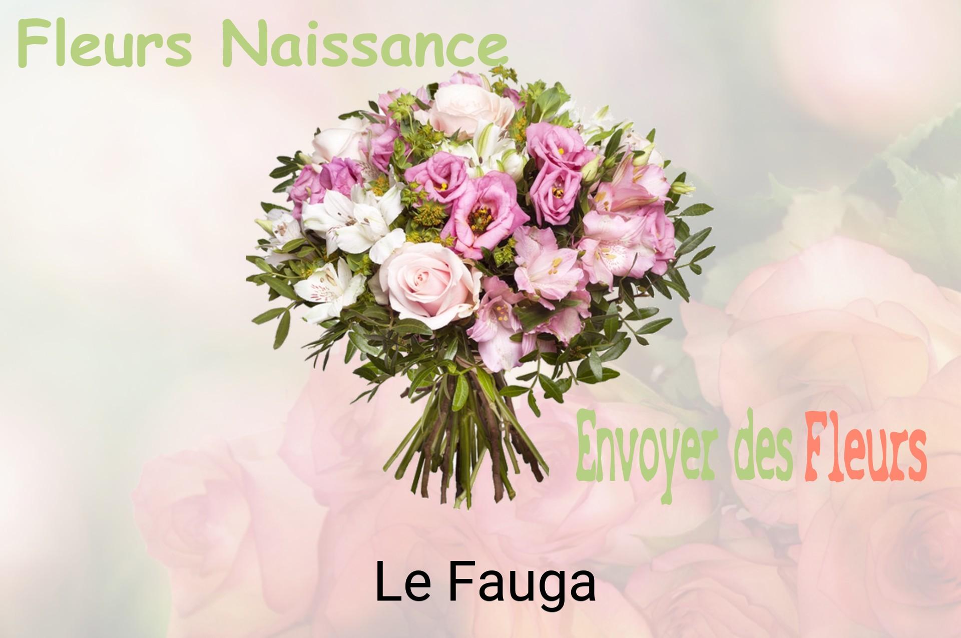 Bouquet de fleurs de naissance livré à Le Fauga
