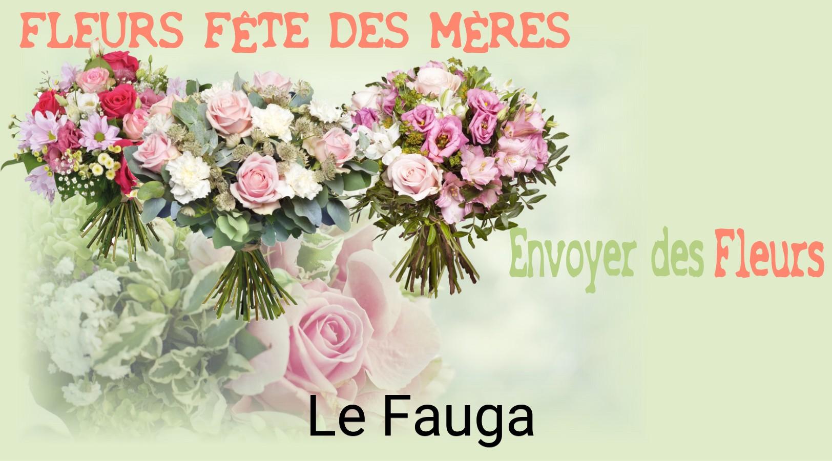 Bouquet de Fête des Mères livré à Le Fauga