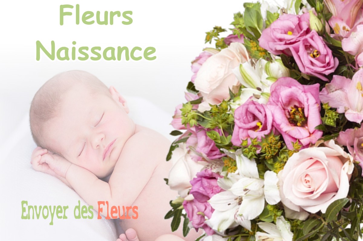 lIVRAISON FLEURS NAISSANCE à LE-FAUGA